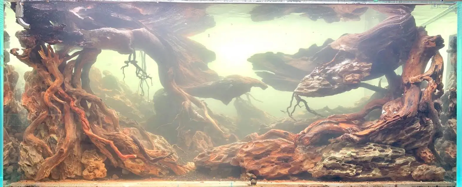 How to make nature aquarium - IAPLC 2021 - Follow Him