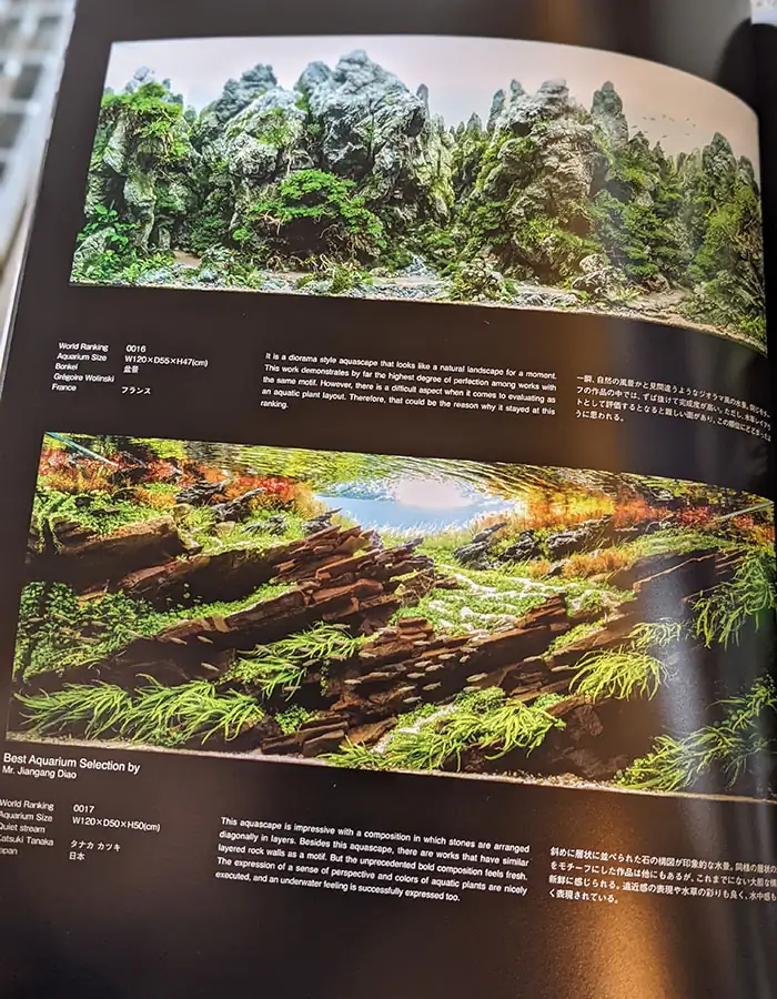 Steps progression IAPLC 2022 - Rank 21 - Green Valley - Katsuki Tanaka / Japan