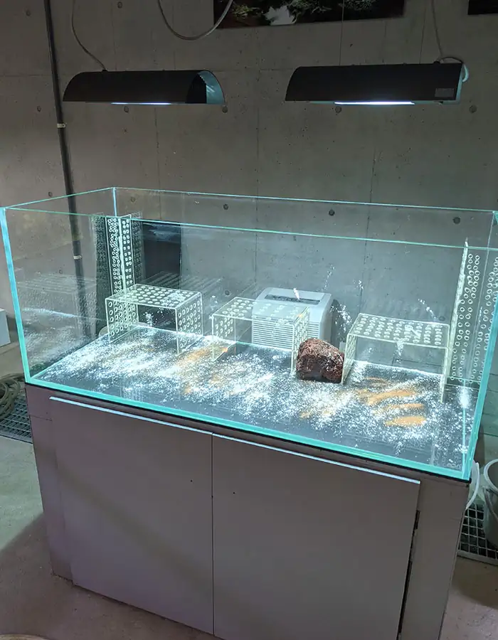Steps progression IAPLC 2022 - Rank 21 - Green Valley - Katsuki Tanaka / Japan