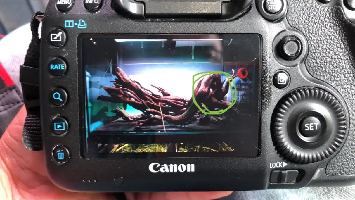 Steps progression IAPLC 2022 Rank 45 - Reverse - Eakthanat Isarathikul / Thailand