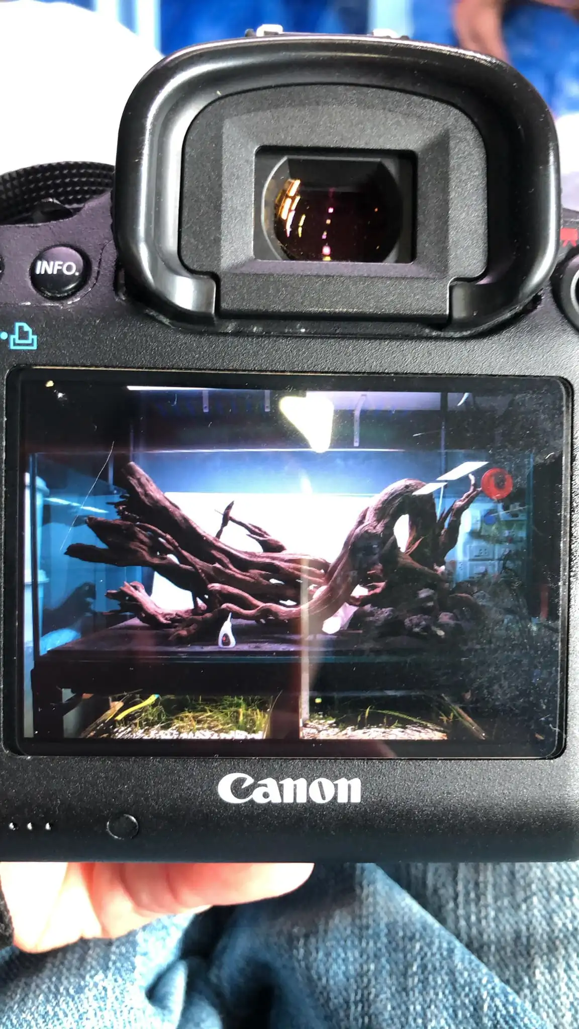 Steps progression IAPLC 2022 Rank 45 - Reverse - Eakthanat Isarathikul / Thailand