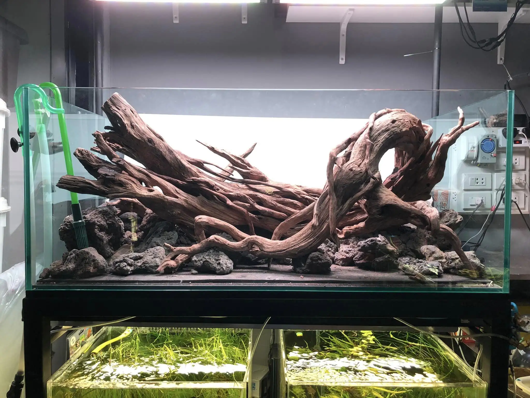 Steps progression IAPLC 2022 Rank 45 - Reverse - Eakthanat Isarathikul / Thailand