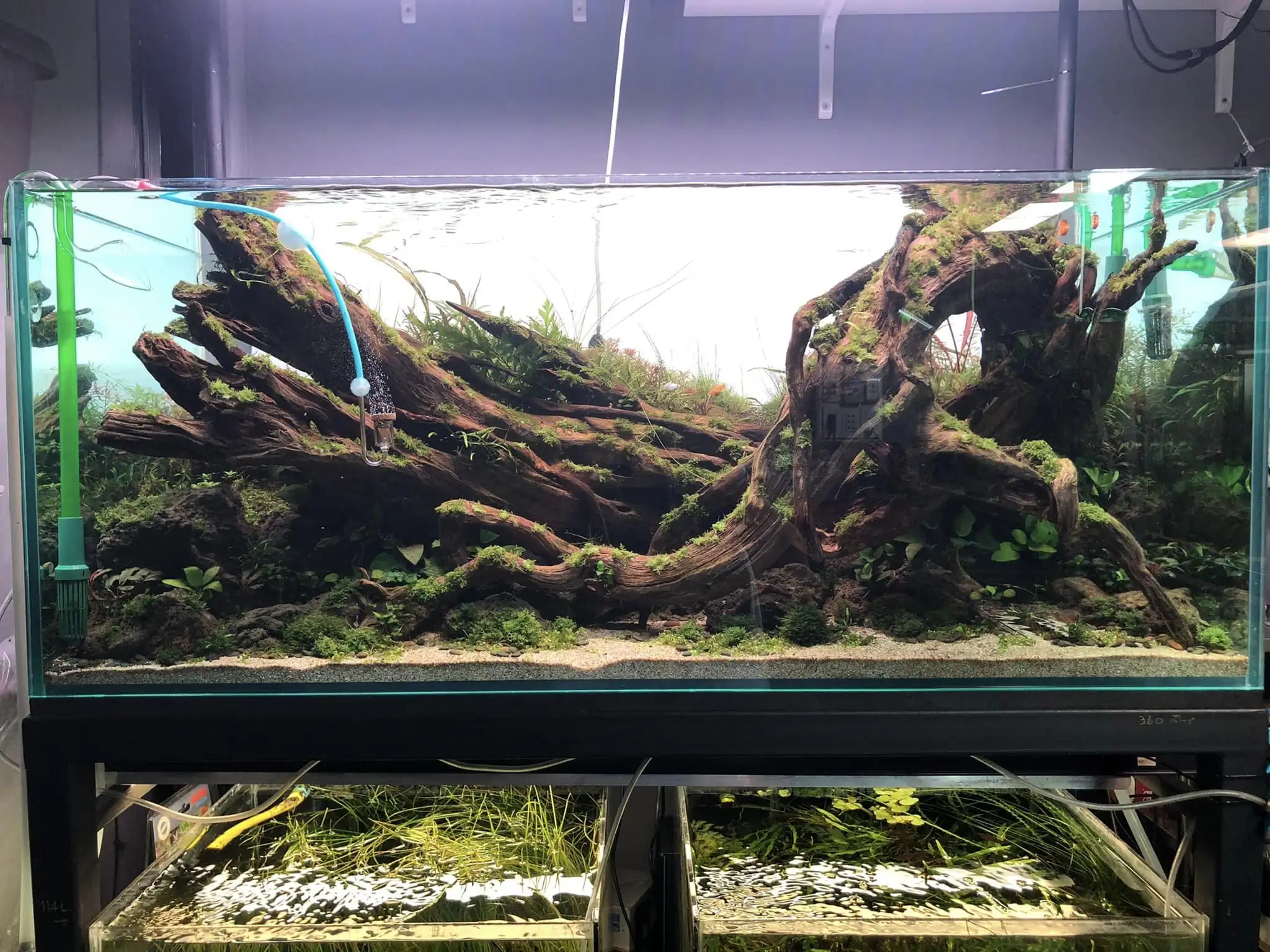 Steps progression IAPLC 2022 Rank 45 - Reverse - Eakthanat Isarathikul / Thailand