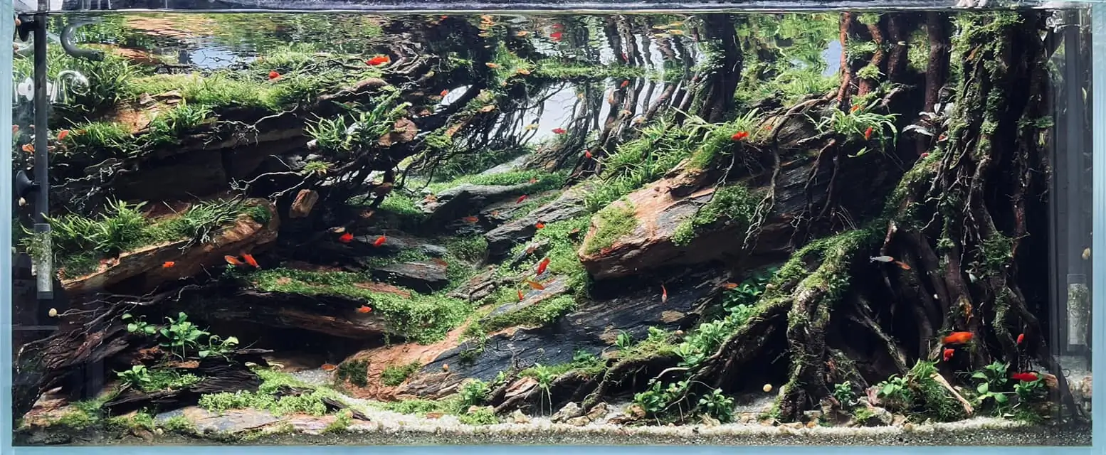 Steps progression IAPLC 2022 - RANK 07 - Wind and water - Trinh Ha Le / VietNam