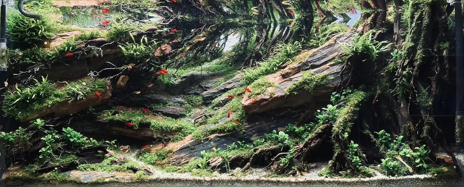 Steps progression IAPLC 2022 - RANK 07 - Wind and water - Trinh Ha Le / VietNam