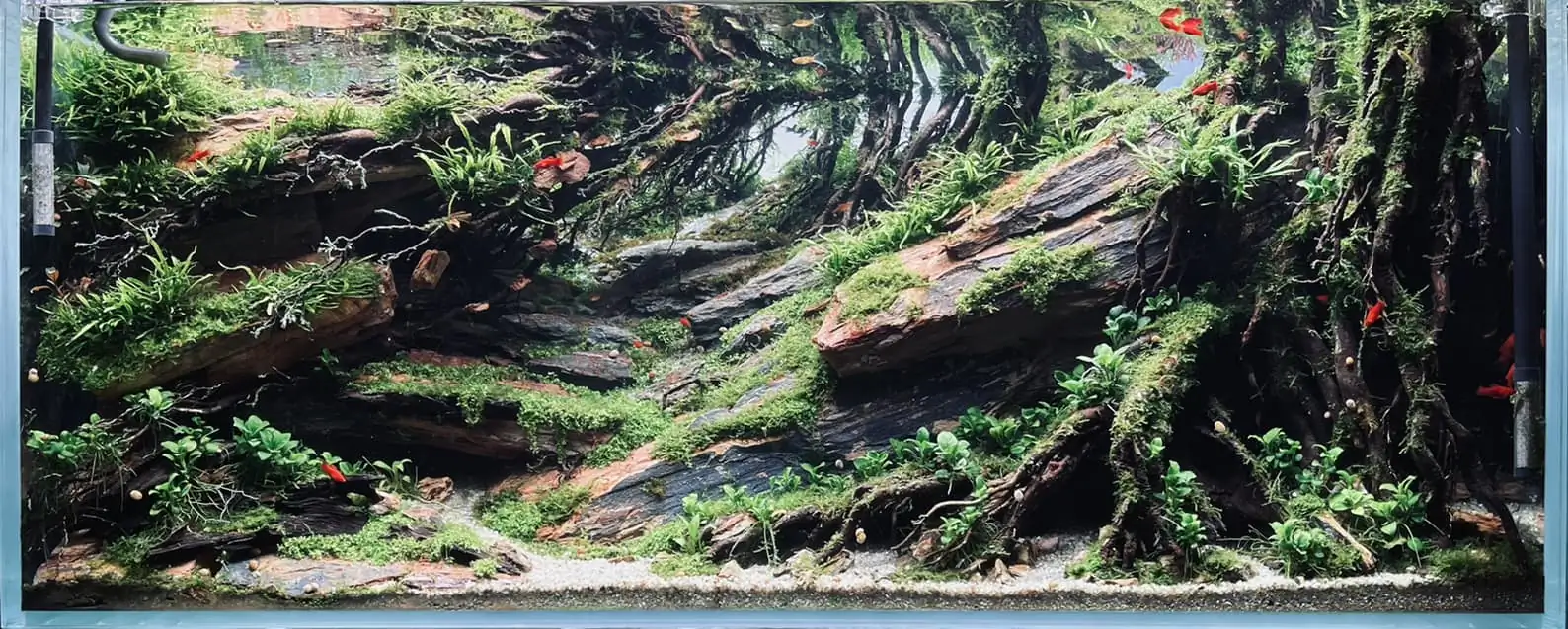 Steps progression IAPLC 2022 - RANK 07 - Wind and water - Trinh Ha Le / VietNam