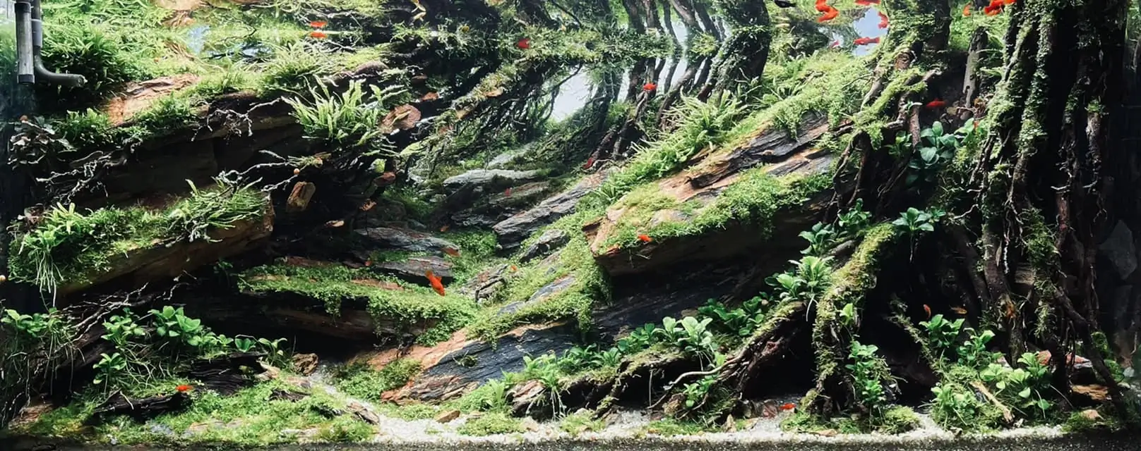 Steps progression IAPLC 2022 - RANK 07 - Wind and water - Trinh Ha Le / VietNam