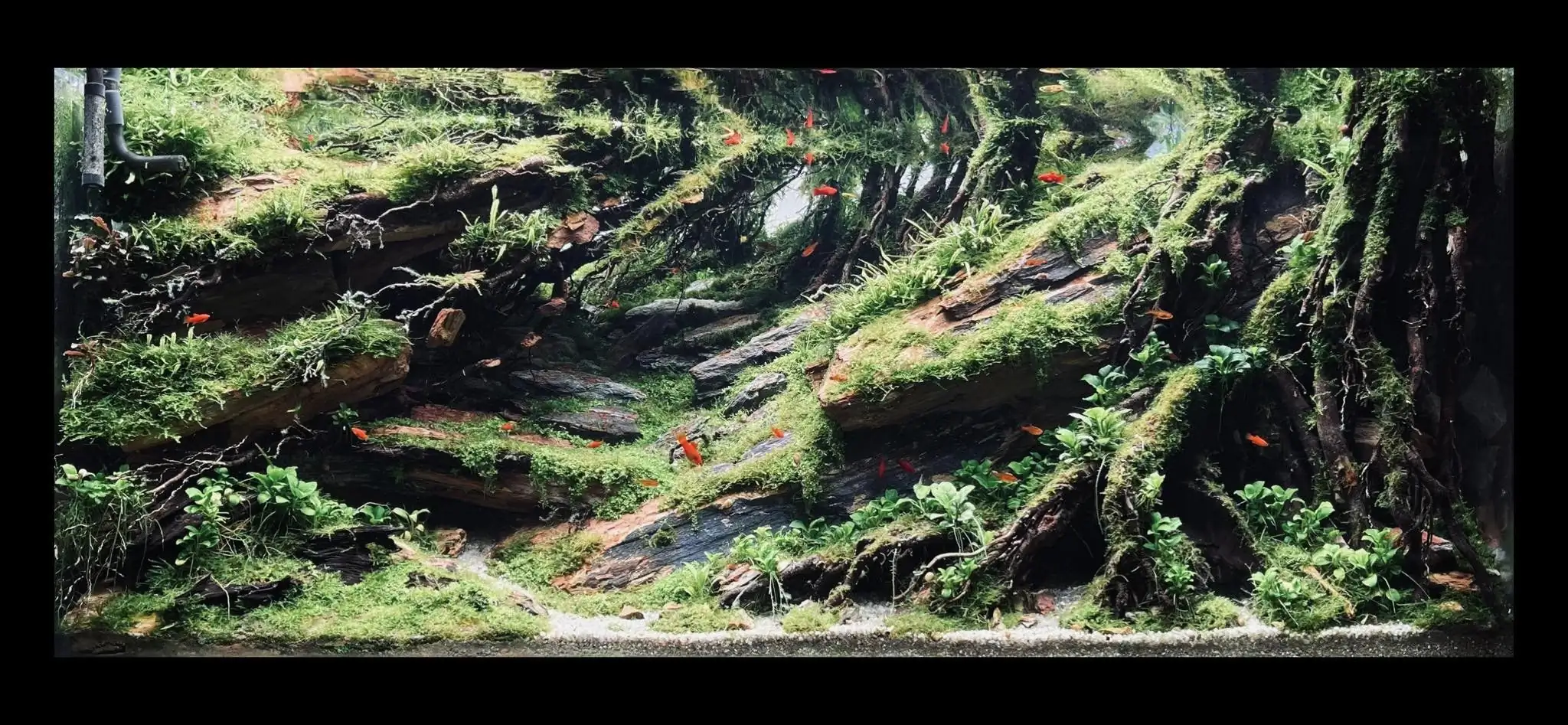 Steps progression IAPLC 2022 - RANK 07 - Wind and water - Trinh Ha Le / VietNam