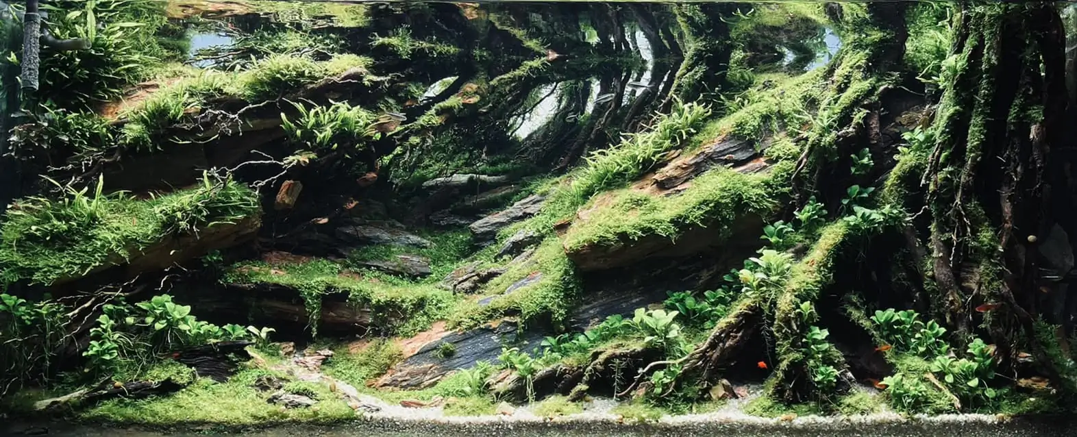 Steps progression IAPLC 2022 - RANK 07 - Wind and water - Trinh Ha Le / VietNam