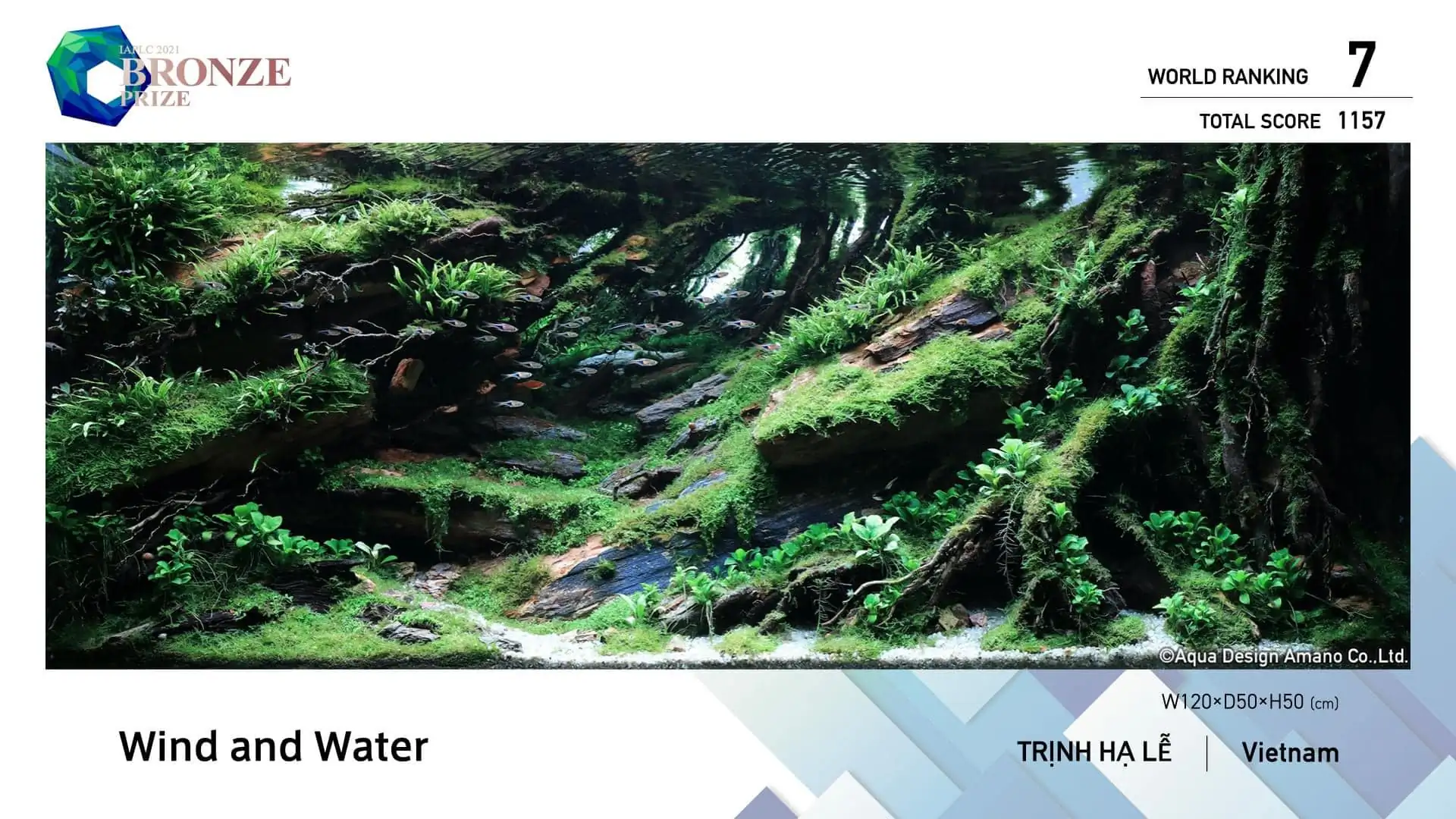 Steps progression IAPLC 2022 - RANK 07 - Wind and water - Trinh Ha Le / VietNam
