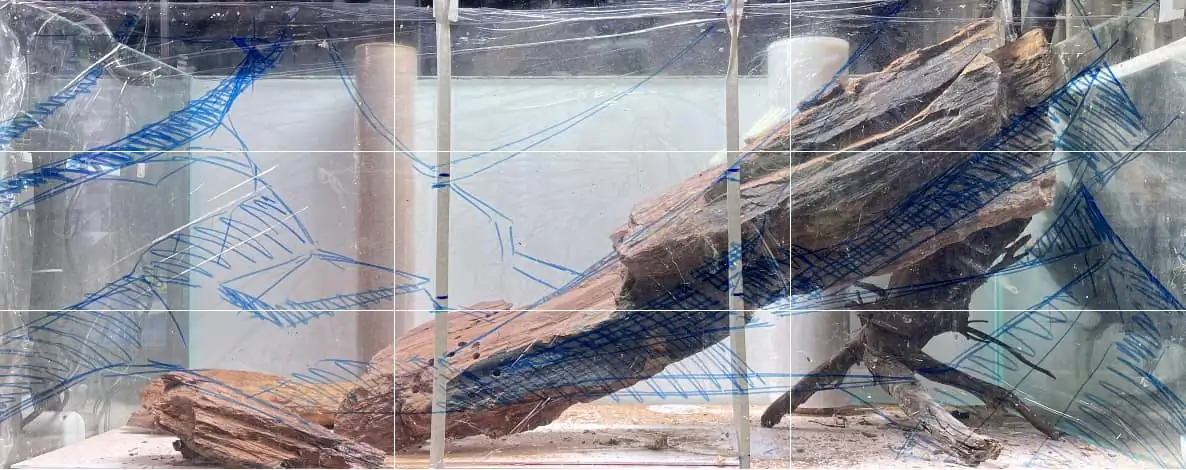 Steps progression IAPLC 2022 - RANK 07 - Wind and water - Trinh Ha Le / VietNam