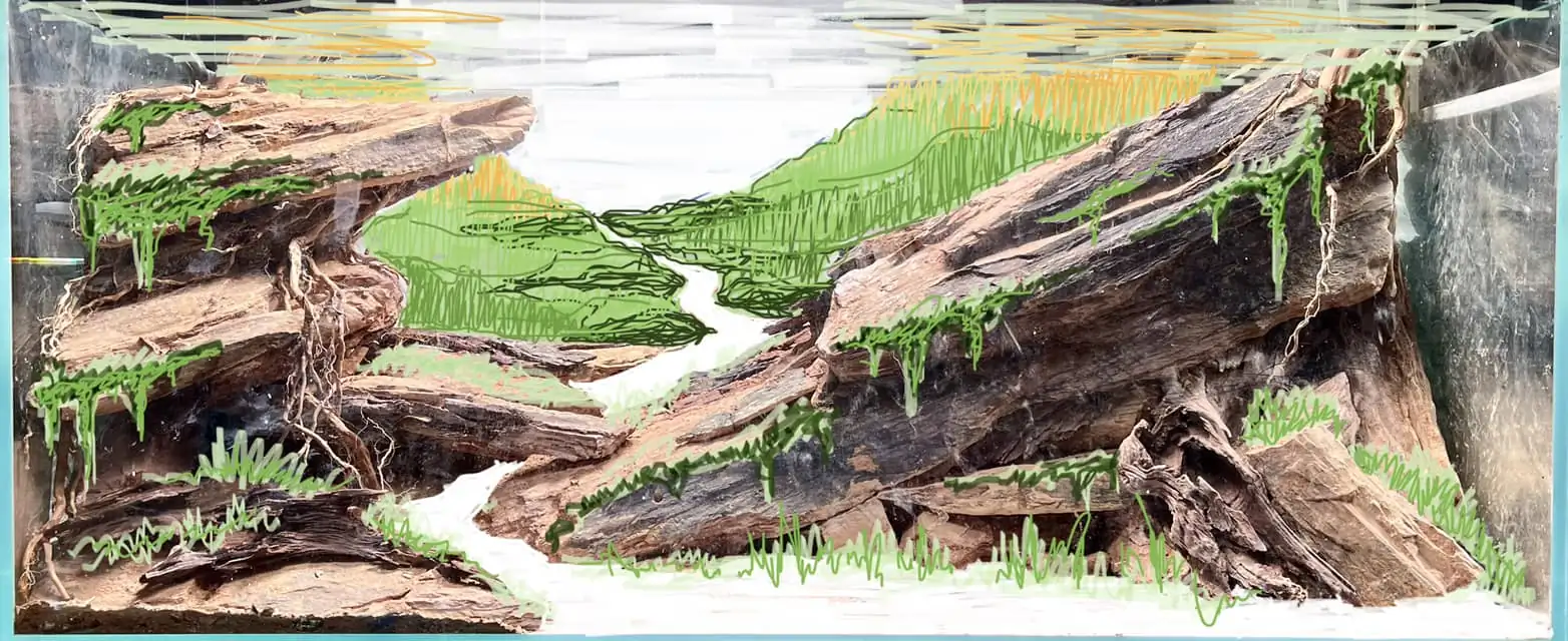 Steps progression IAPLC 2022 - RANK 07 - Wind and water - Trinh Ha Le / VietNam