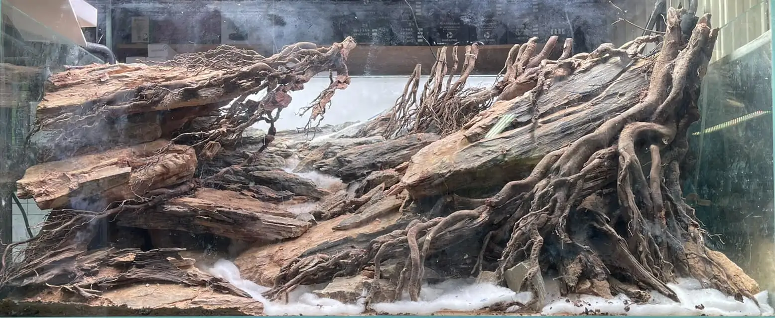 Steps progression IAPLC 2022 - RANK 07 - Wind and water - Trinh Ha Le / VietNam