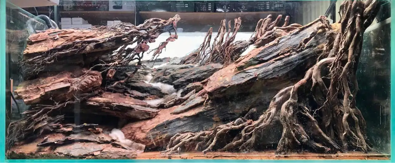 Steps progression IAPLC 2022 - RANK 07 - Wind and water - Trinh Ha Le / VietNam