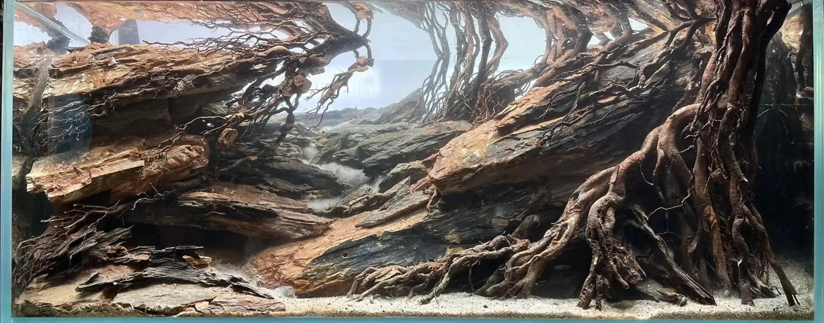 Steps progression IAPLC 2022 - RANK 07 - Wind and water - Trinh Ha Le / VietNam