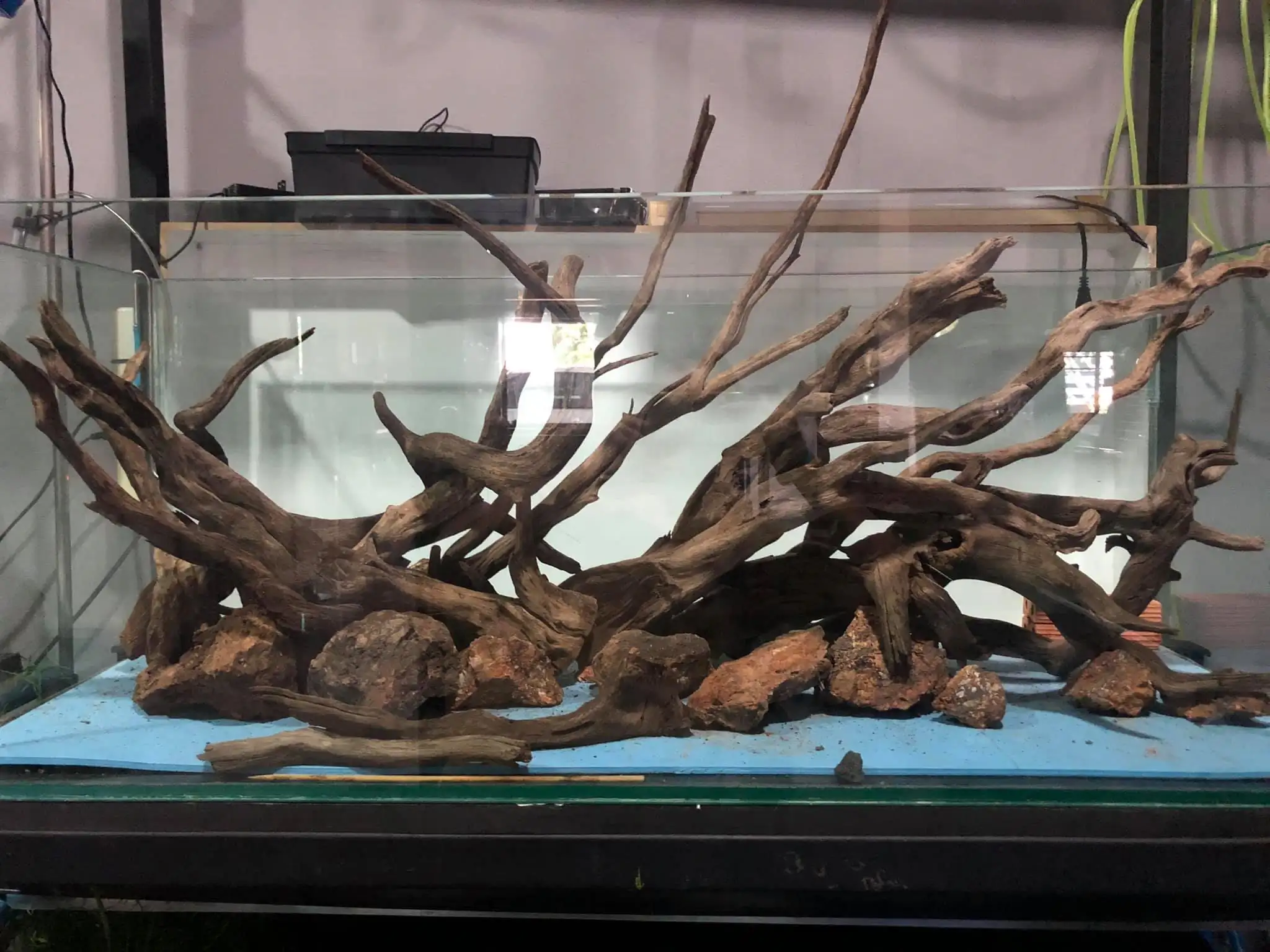 Steps progression IIAC 2021 Rank 87 - Under Nature - Eakthanat Isarathikul / Thailand