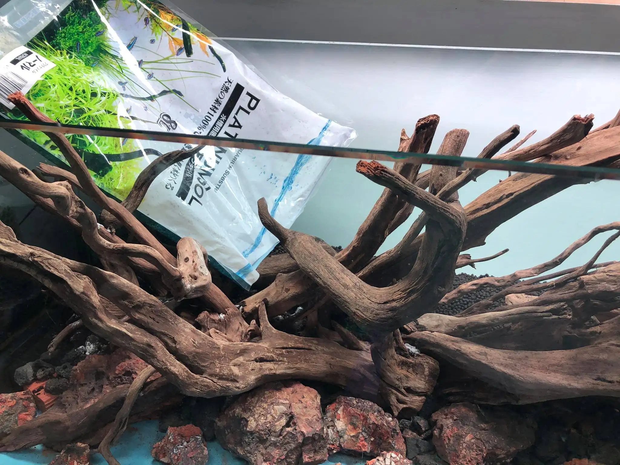 Steps progression IIAC 2021 Rank 87 - Under Nature - Eakthanat Isarathikul / Thailand