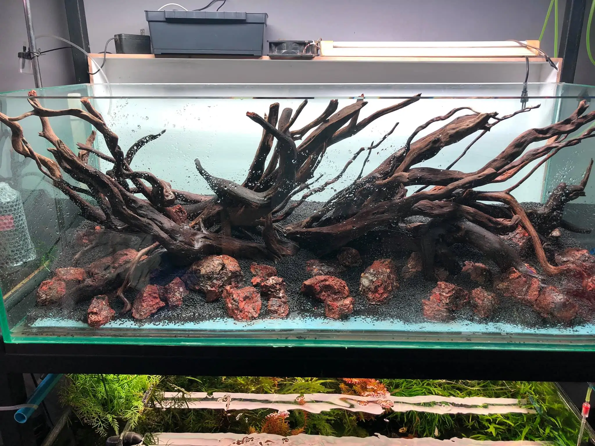 Steps progression IIAC 2021 Rank 87 - Under Nature - Eakthanat Isarathikul / Thailand