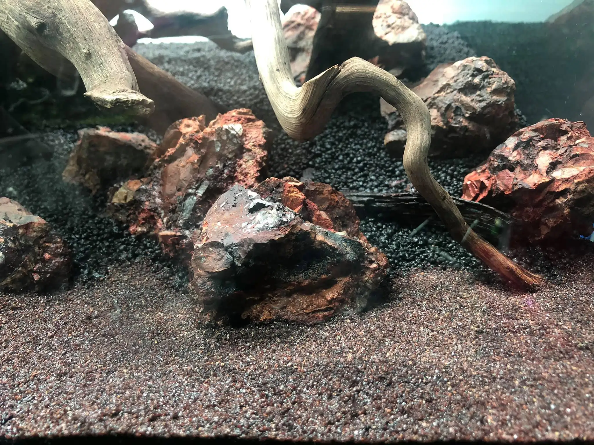 Steps progression IIAC 2021 Rank 87 - Under Nature - Eakthanat Isarathikul / Thailand