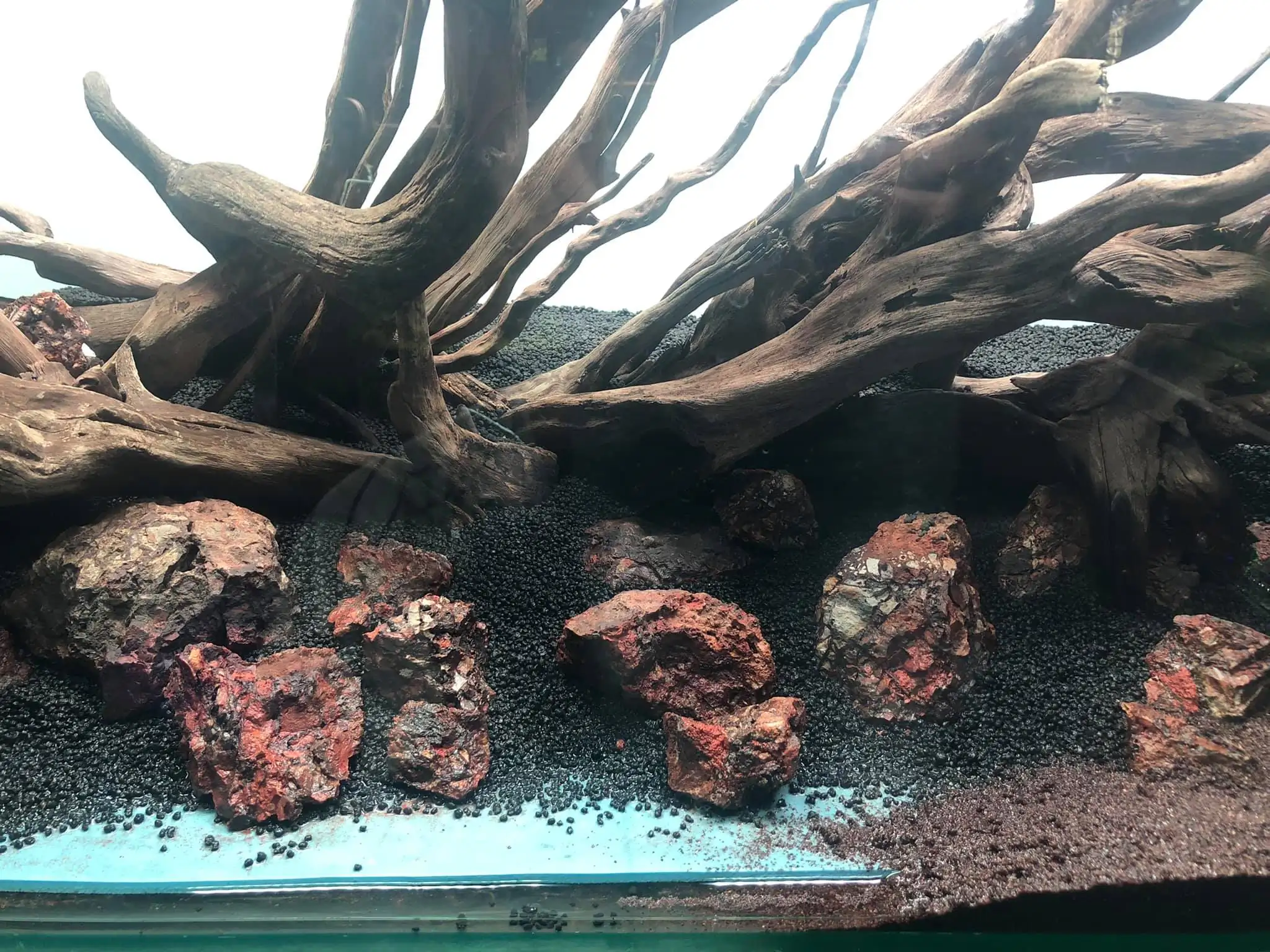 Steps progression IIAC 2021 Rank 87 - Under Nature - Eakthanat Isarathikul / Thailand