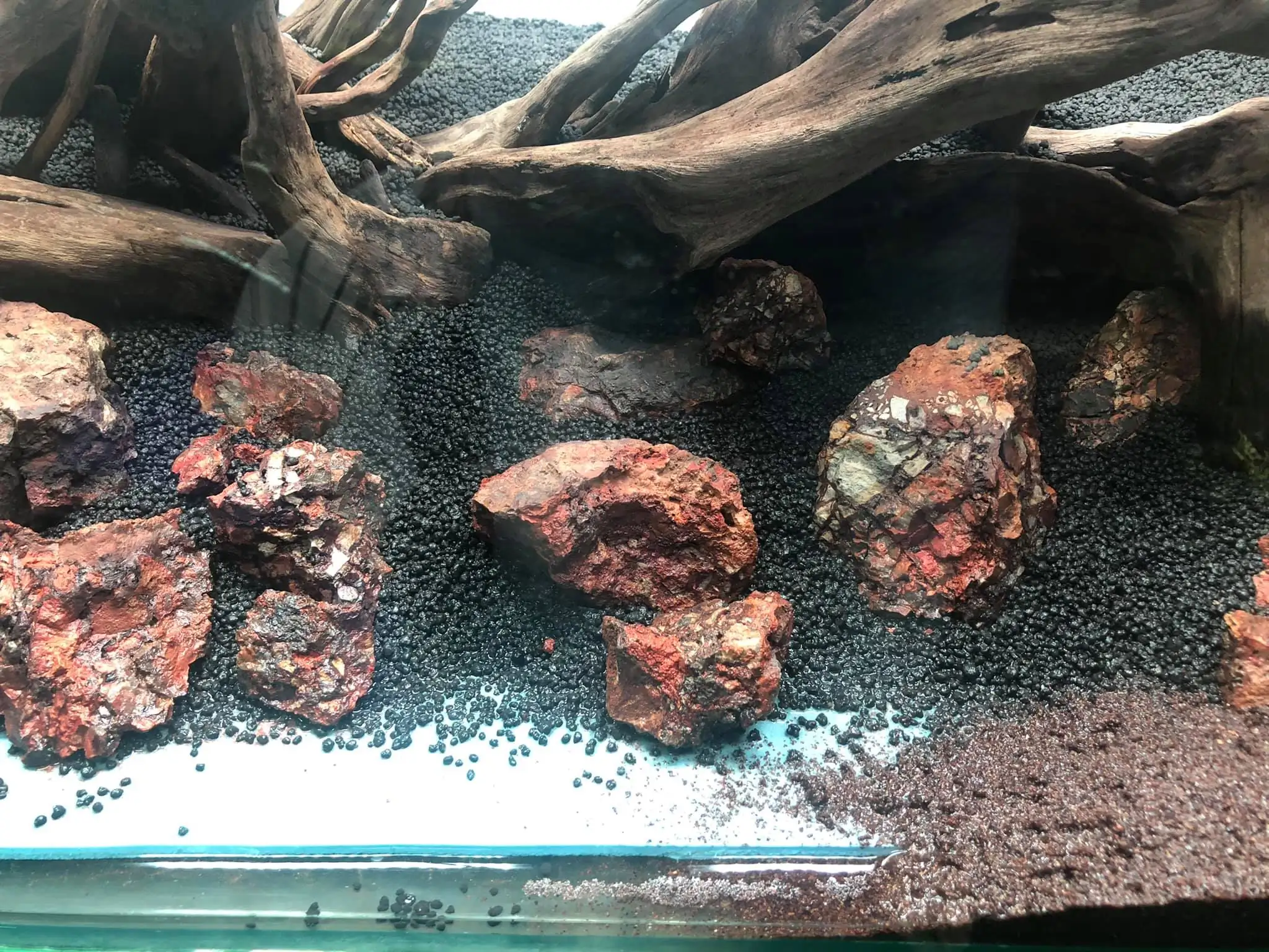 Steps progression IIAC 2021 Rank 87 - Under Nature - Eakthanat Isarathikul / Thailand