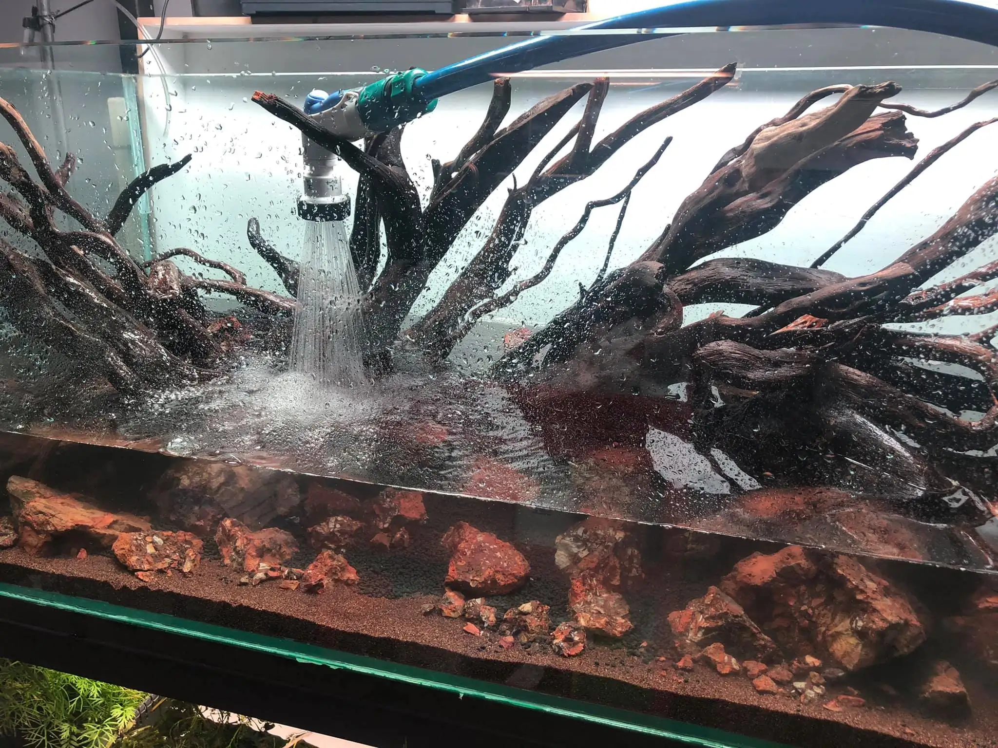 Steps progression IIAC 2021 Rank 87 - Under Nature - Eakthanat Isarathikul / Thailand