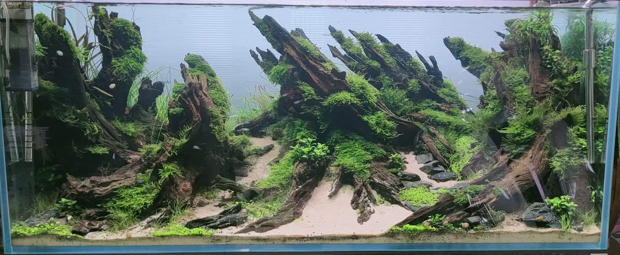 Steps progression SeaScape 2022 - RANK 18 - Flow of water - Duong Chi Binh / VietNam