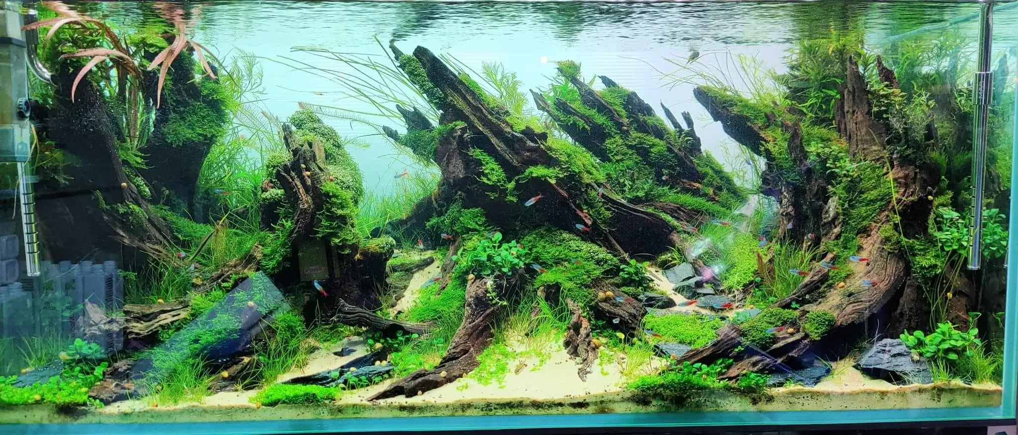 Steps progression SeaScape 2022 - RANK 18 - Flow of water - Duong Chi Binh / VietNam