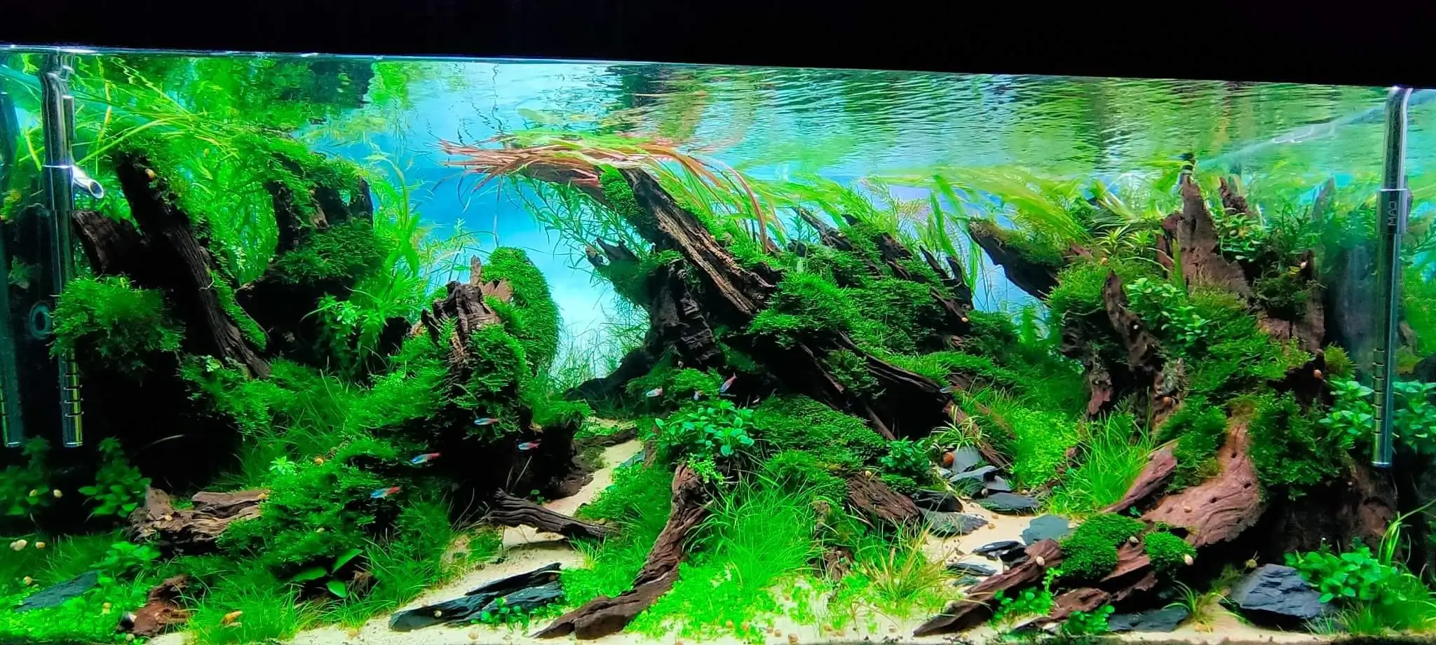 Steps progression SeaScape 2022 - RANK 18 - Flow of water - Duong Chi Binh / VietNam