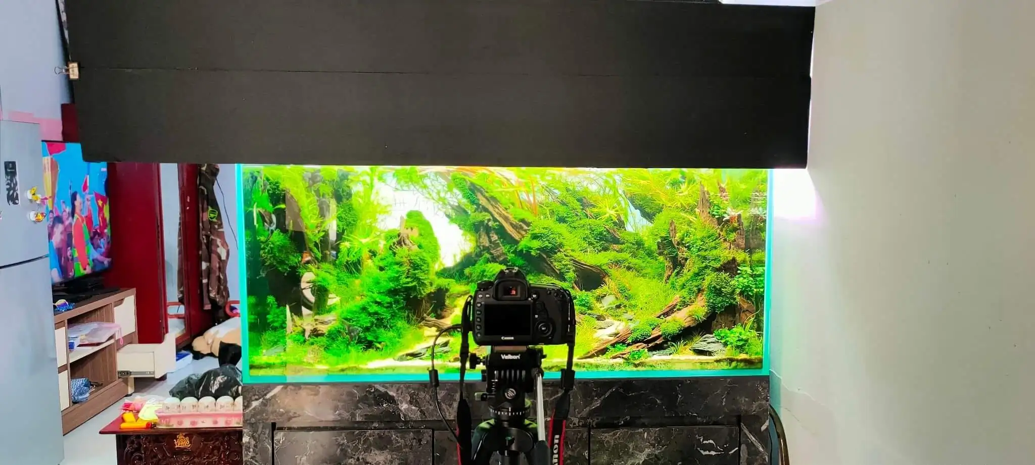 Steps progression SeaScape 2022 - RANK 18 - Flow of water - Duong Chi Binh / VietNam