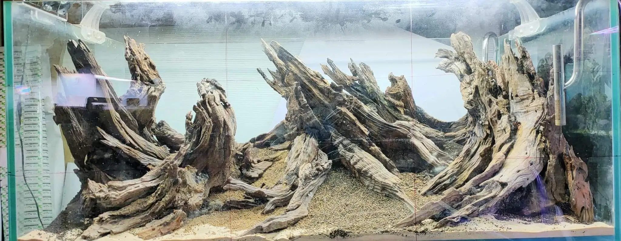 Steps progression SeaScape 2022 - RANK 18 - Flow of water - Duong Chi Binh / VietNam