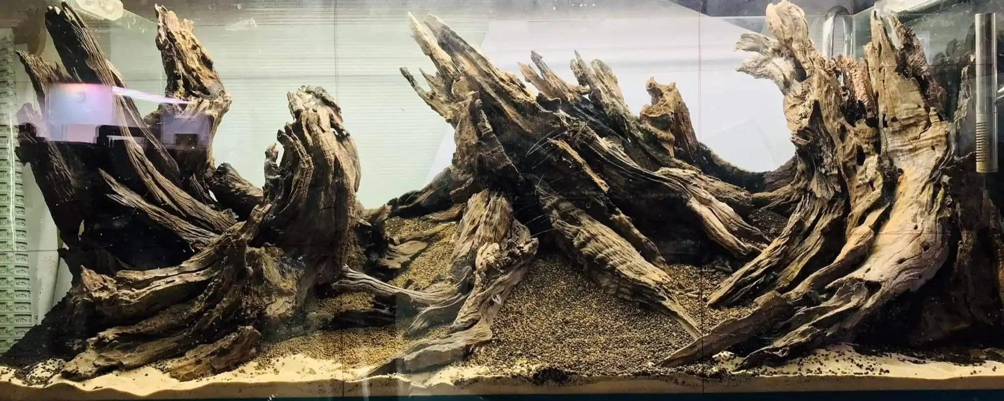 Steps progression SeaScape 2022 - RANK 18 - Flow of water - Duong Chi Binh / VietNam