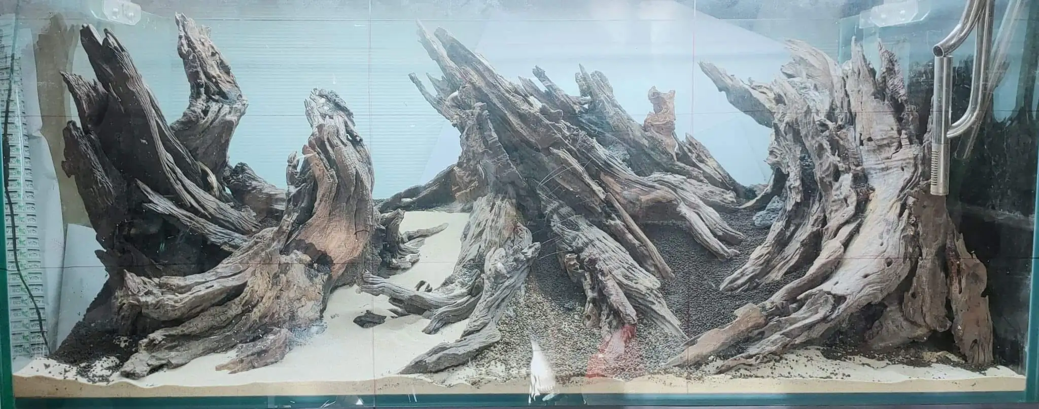 Steps progression SeaScape 2022 - RANK 18 - Flow of water - Duong Chi Binh / VietNam