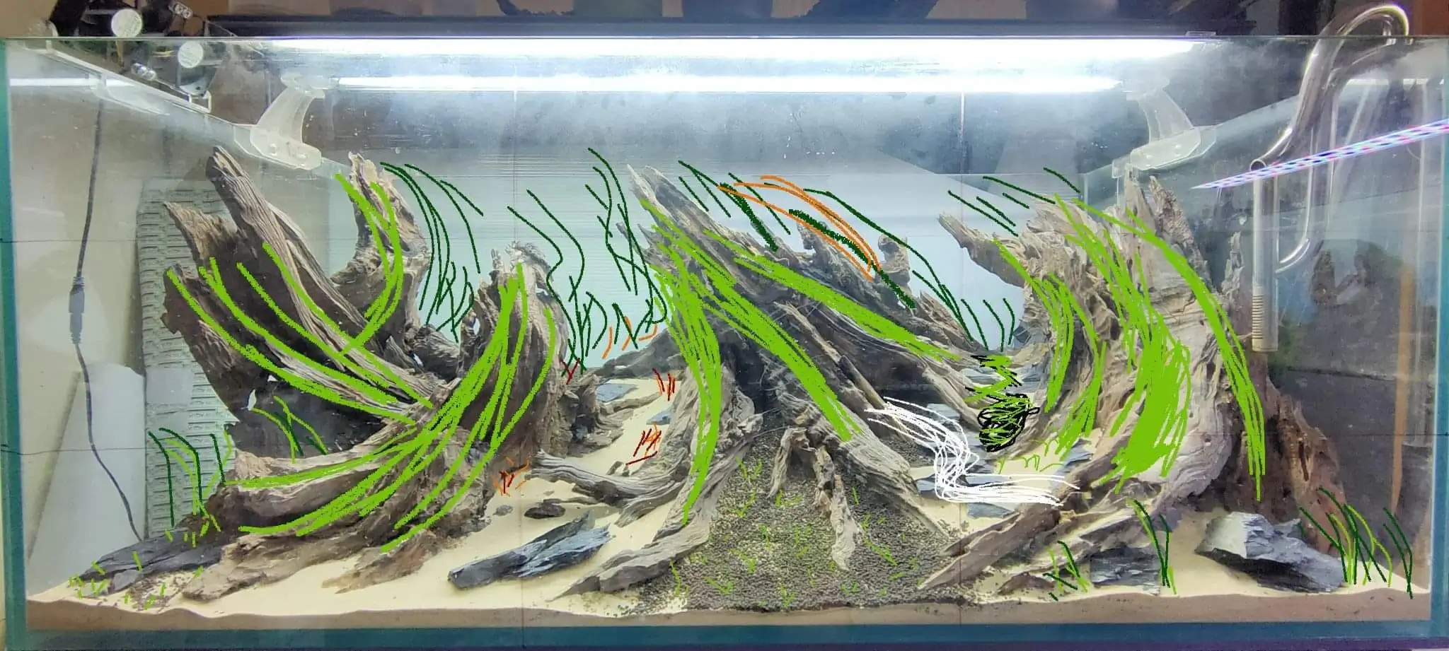 Steps progression SeaScape 2022 - RANK 18 - Flow of water - Duong Chi Binh / VietNam