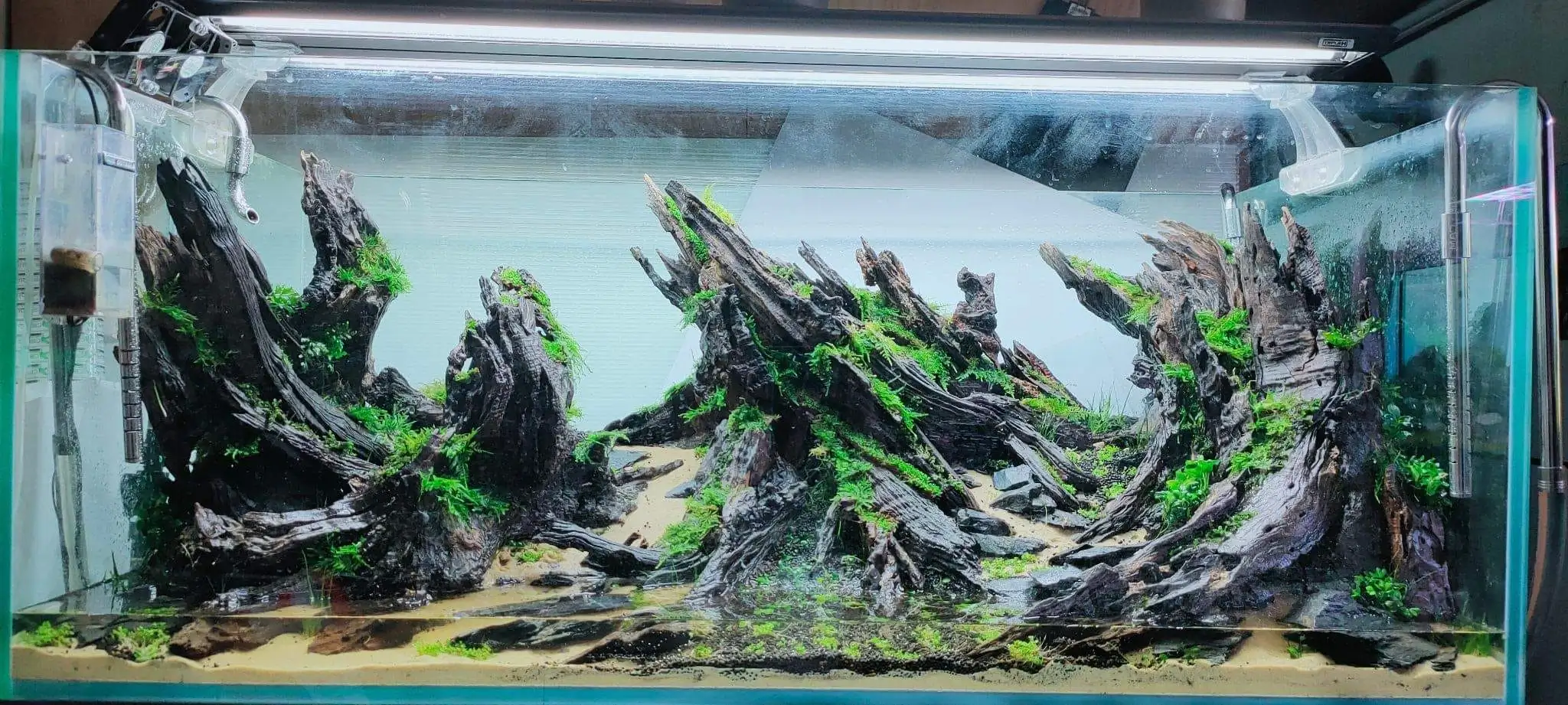 Steps progression SeaScape 2022 - RANK 18 - Flow of water - Duong Chi Binh / VietNam