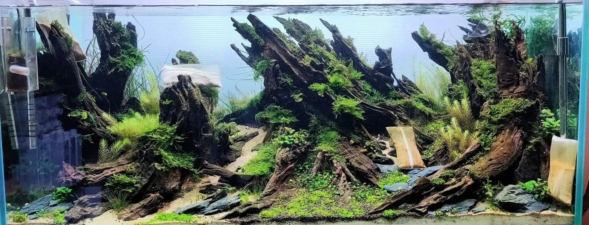 Steps progression SeaScape 2022 - RANK 18 - Flow of water - Duong Chi Binh / VietNam