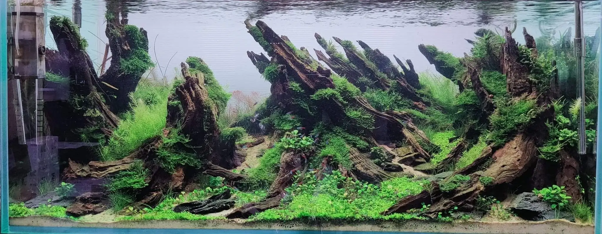 Steps progression SeaScape 2022 - RANK 18 - Flow of water - Duong Chi Binh / VietNam