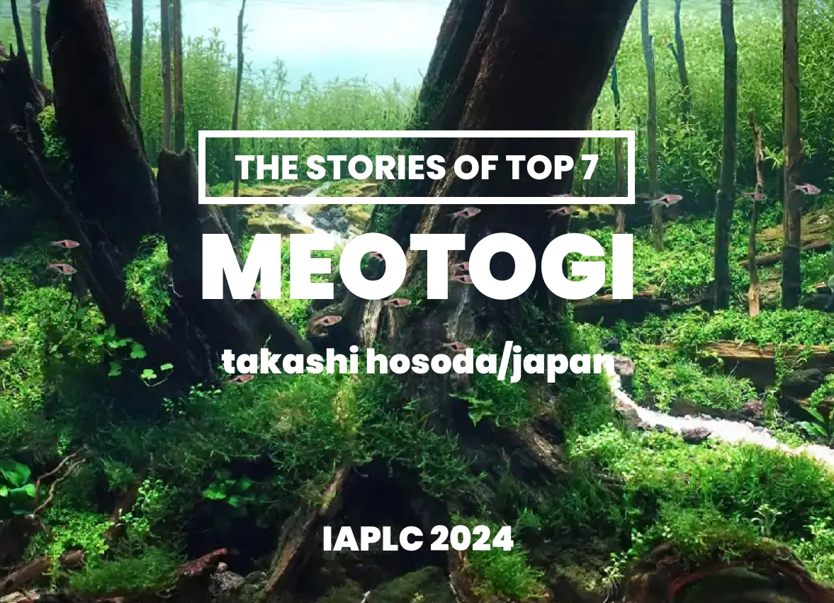 [TheStoriesOfTop7] Meotogi - Takashi Hosoda/Japan - IAPLC 2024