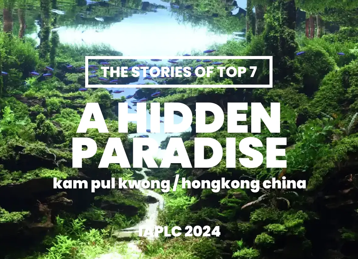 [TheStoriesOfTop7] A Hidden Paradise - Kam Pul Kwong / HongKong China - IAPLC 2024