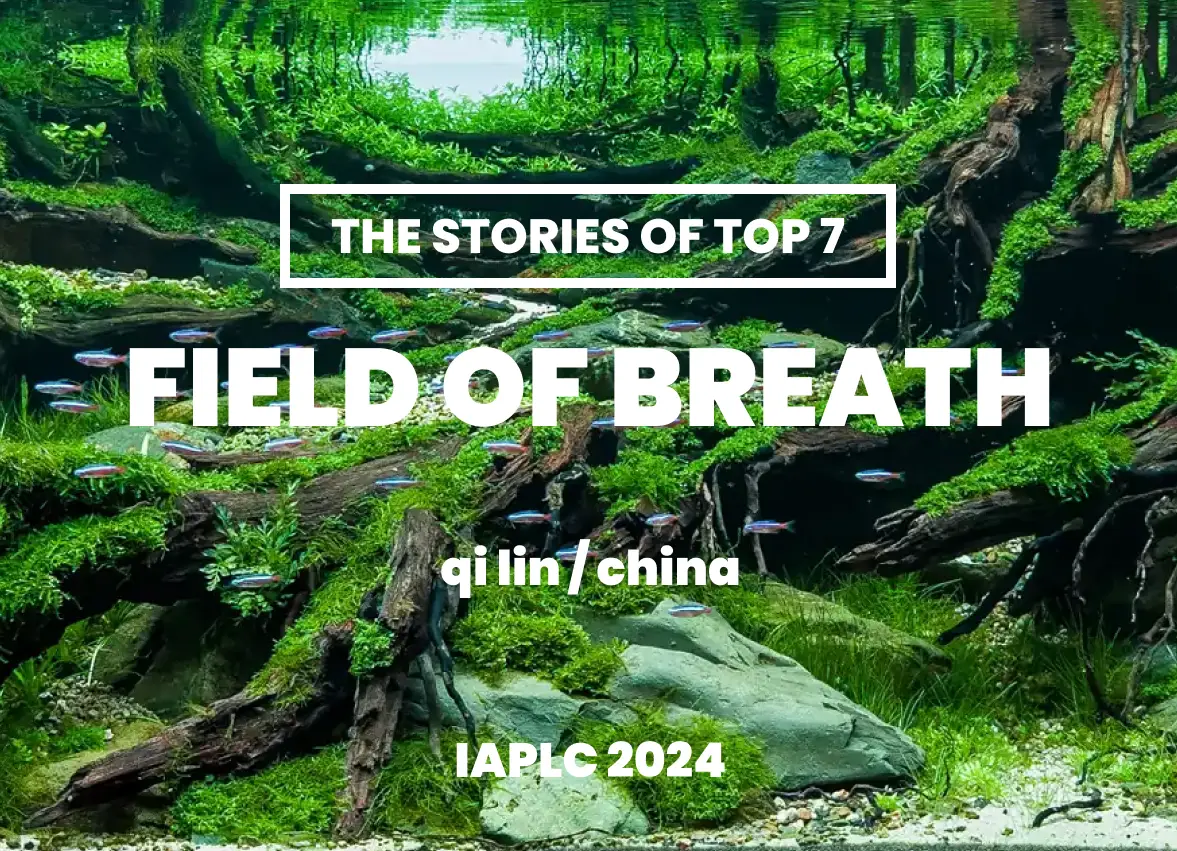 [TheStoriesOfTop7] Field of Breath - Qi Lin / China - IAPLC 2024