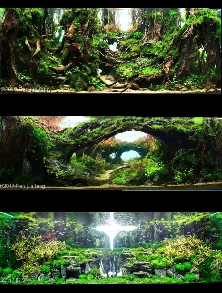 Introduction about China Aquascaping 