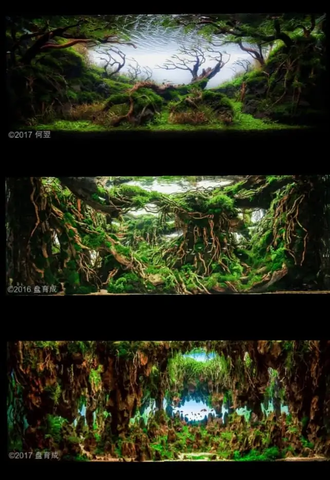 Introduction about China Aquascaping 