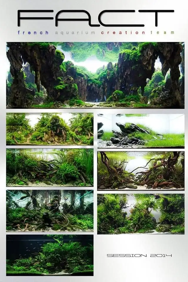 Introduction about France Aquascaping