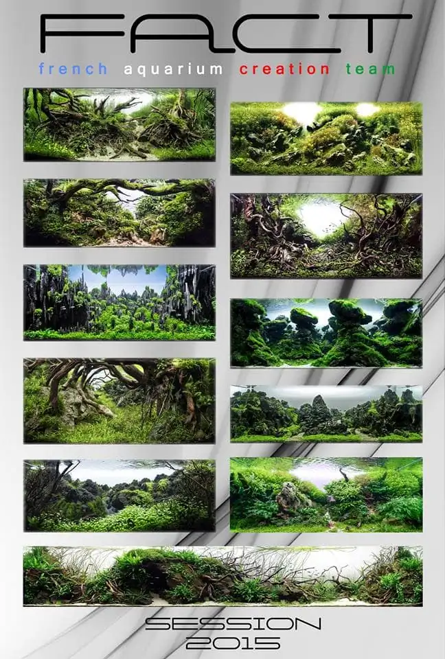Introduction about France Aquascaping