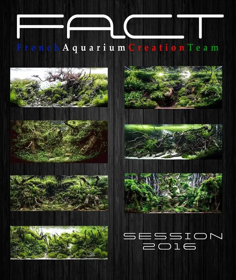 Introduction about France Aquascaping