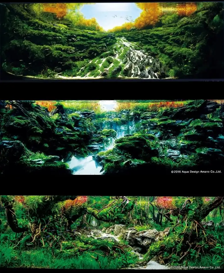Introduction about Japan Aquascaping 