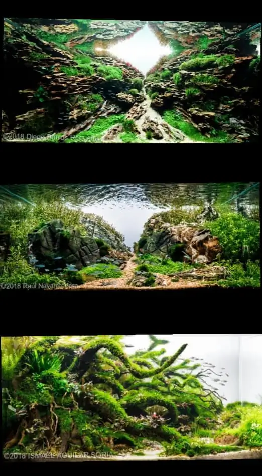 Introduction about Spain Aquascaping Introduction about Spain Aquascaping