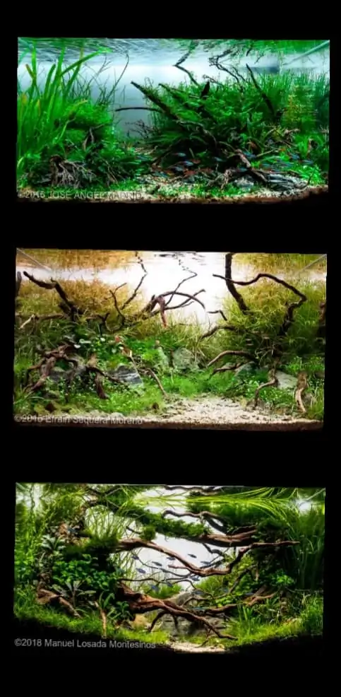 Introduction about Spain Aquascaping Introduction about Spain Aquascaping