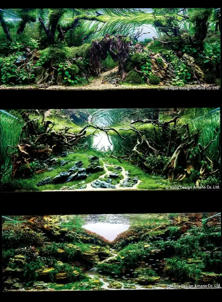 Introduction about Spain Aquascaping Introduction about Spain Aquascaping