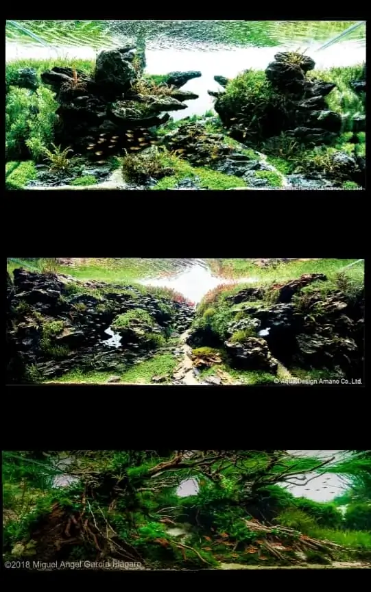 Introduction about Spain Aquascaping Introduction about Spain Aquascaping